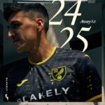 Norwich City away football jersey 2024/25 with club crest and modern design.