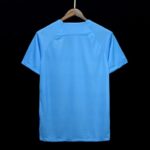 Netherlands 2024/25 Special Edition Football Jersey, authentic sportswear.