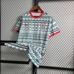 Nigeria football training jersey 2023/24, white with green and red accents, official team apparel fo.