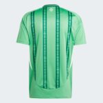 Authentic Northern Ireland football jersey for 2023/24 season. Green design with team logo and moder.