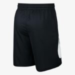 High-performance Nike men's sport shorts for active wear, featuring moisture-wicking fabric and a co.