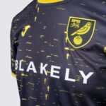 Authentic Norwich City away football jersey for 2024/25 season, featuring club crest and modern desi.