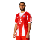 Bayern Munich 2025/26 home football jersey with club logo and vibrant red design.