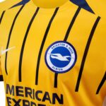 Brighton & Hove Albion away football jersey 2024/25 with team crest and Nike logo.
