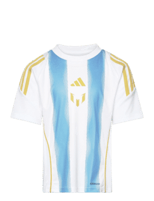 Argentina Messi training jersey with blue and white stripes, gold accents, and team logo. Perfect fo.