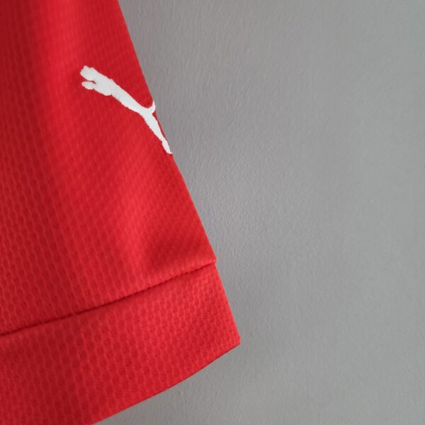 Official Switzerland World Cup 2022/23 home jersey with Puma logo.
