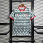 Nigeria football training jersey 2023/24, white with red accents, featuring Nigeria team logo.