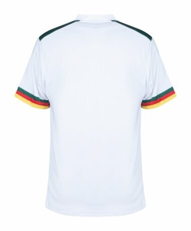 Cameroon World Cup Away kit 2022 - uaessss