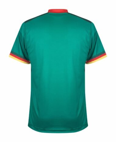 Cameroon World Cup home kit 2022 - uaessss