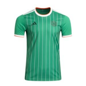 Celtic Special Edition Jersey 2024 - uaessss