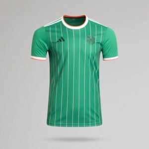 Celtic Special Edition Jersey 2024 - uaessss