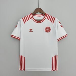 Denmark away jersey 2021 - uaessss