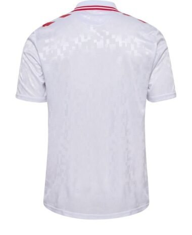 Denmark Away JERSEY 2024/25 - uaessss