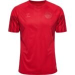 Denmark WORLD CUP HOME jersey 2022/23 - uaessss