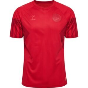 Denmark WORLD CUP HOME jersey 2022/23 - uaessss