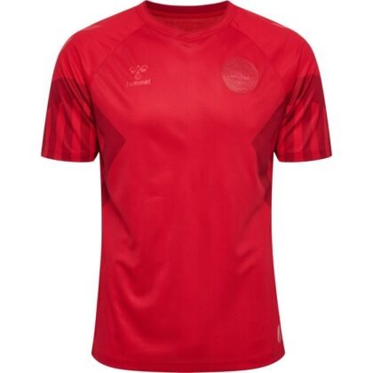 Denmark WORLD CUP HOME jersey 2022/23 - uaessss