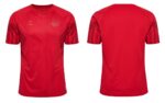 Denmark WORLD CUP HOME jersey 2022/23, authentic football shirt for fans and players.