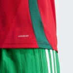 Official Hungary football jersey 2024, lightweight and breathable, perfect for fans and players.