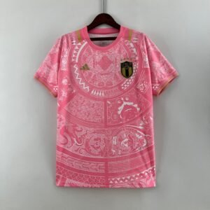 Italy Versace Edition Pink Jersey 2024 - uaessss