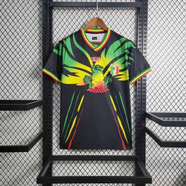 Official Mali third football jersey 2023 with vibrant design and team logo.