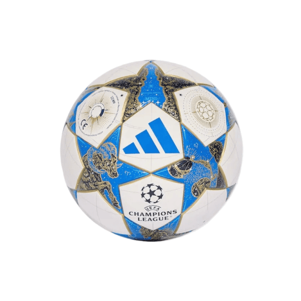Official Adidas UEFA Champions League Pro 25/26 match ball with vibrant design.