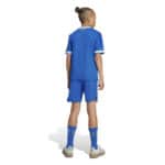Kids' blue football kit with shorts, jersey, and socks for young players.
