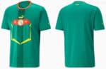 Official Brazil football jersey in green with team crest and Puma logo, perfect for fans and players.
