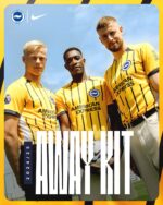Brighton Away Jersey 2024/25 - Authentic football kit for Brighton fans, featuring yellow and navy s.
