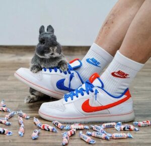 Grey bunny with paws on a white sneaker that has blue and orange Nike swooshes, on a wooden floor with scattered candy wrappers nearby.