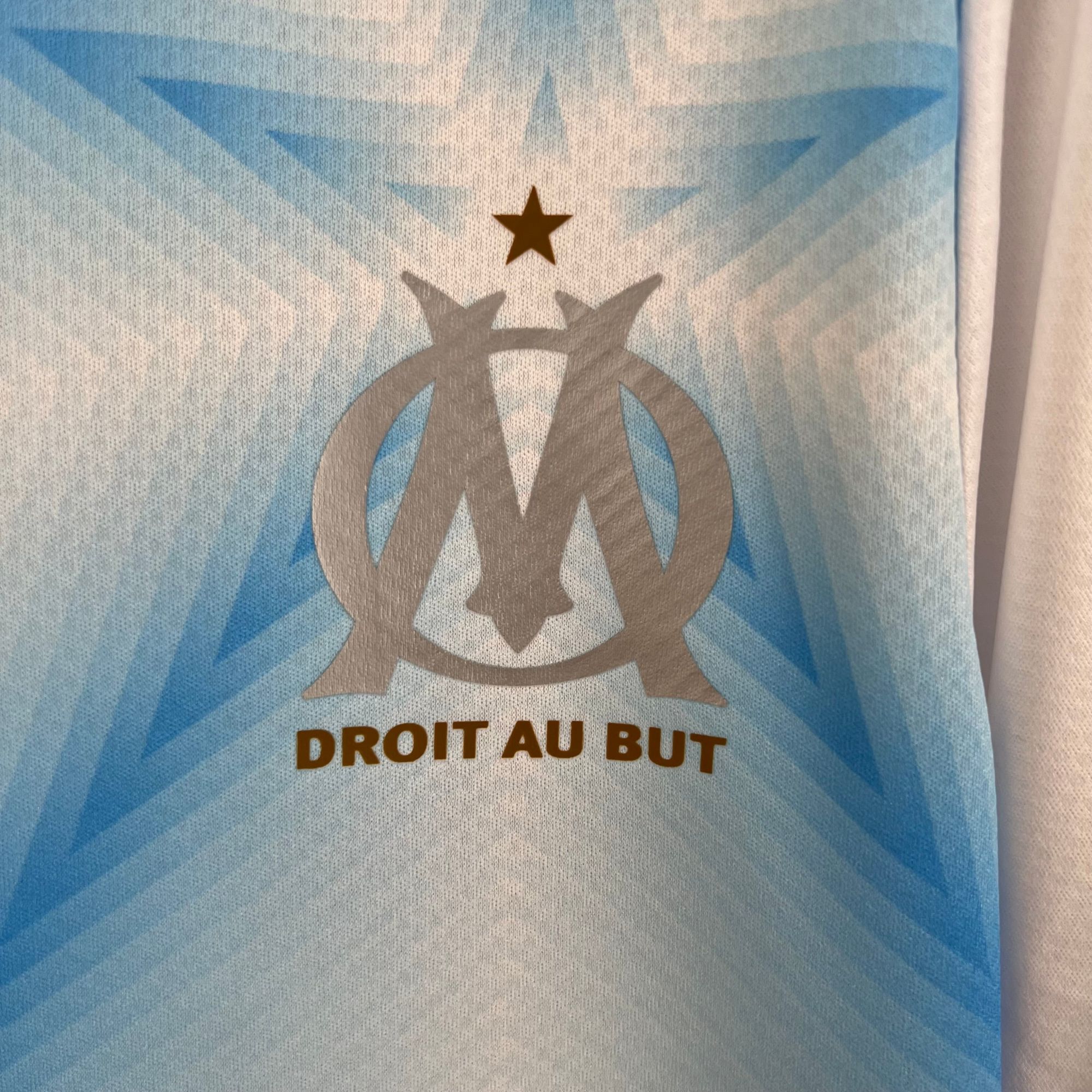 1668e63c_d82c331e-9d8e-4a56-b0db-e7dbd306fb3c | UAE SPORT STORE Blue fabric with a silver trophy emblem and a small star above, with partial text 'DROIT AU BUT' at the bottom.