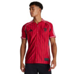 Male model wearing a red pinstripe Adidas Netherlands soccer jersey with crest on the left chest and logo on the right.