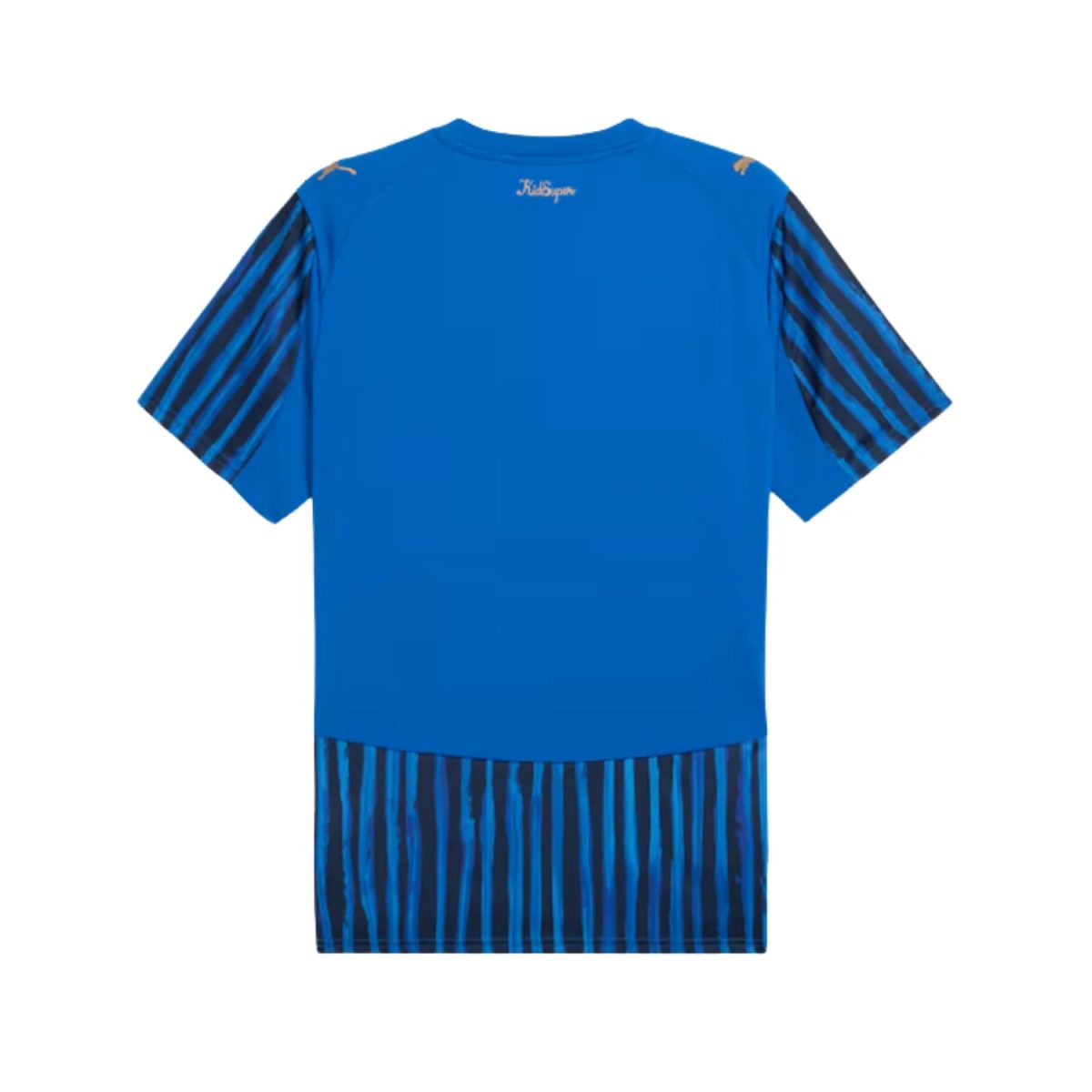 Back view of a bright blue sports shirt with navy striped sleeves and striped lower hem, small gold logo at the neck.