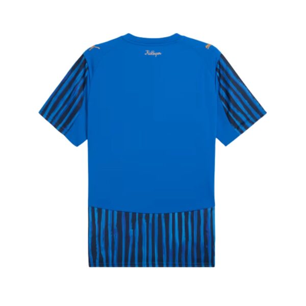 Back view of a bright blue sports shirt with navy striped sleeves and striped lower hem, small gold logo at the neck.