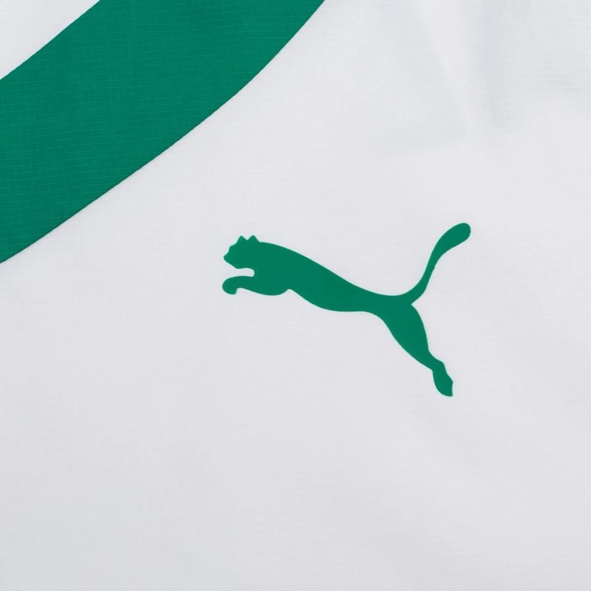 Partial view of a green Puma logo leaping across a white background.