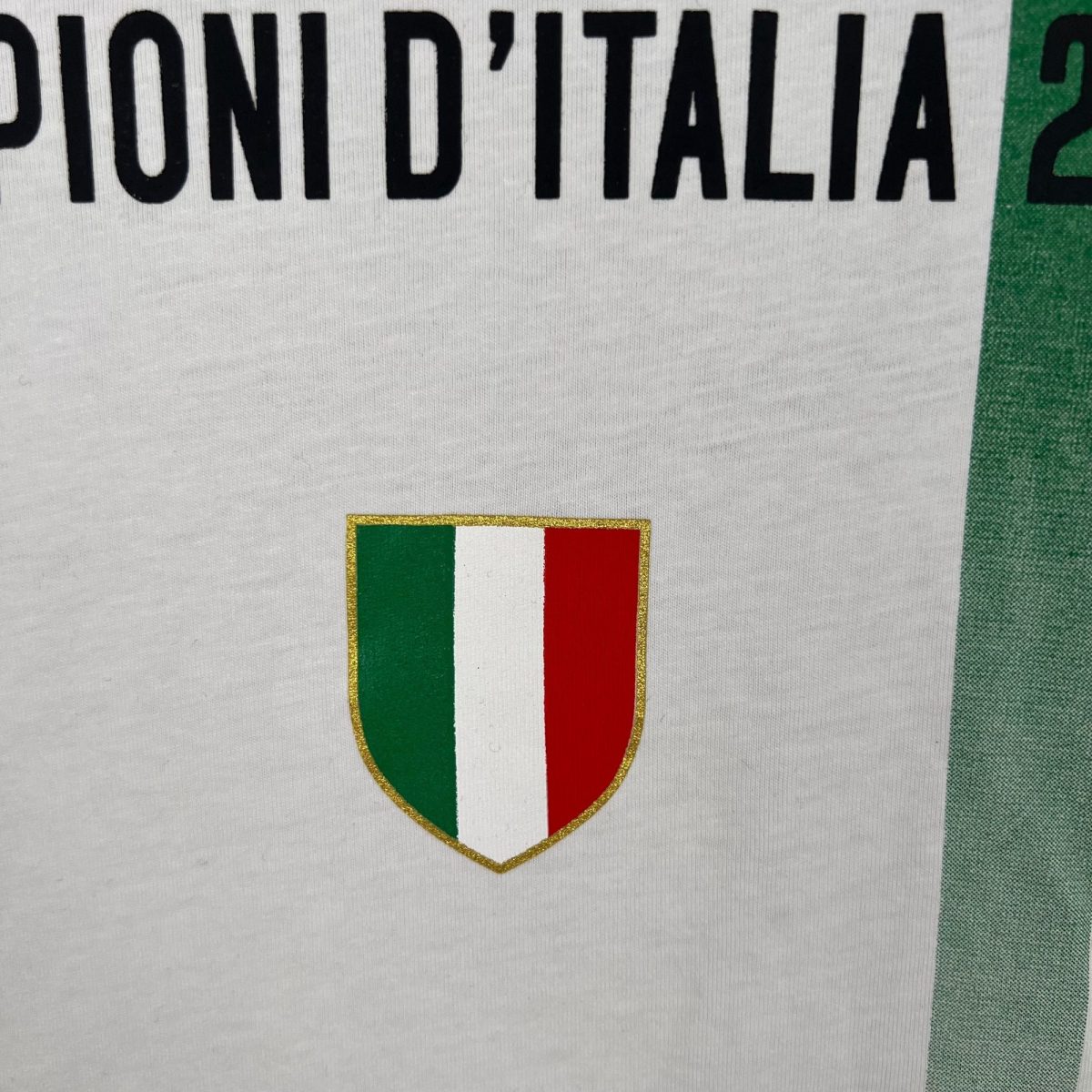 Gold-edged shield showing Italy's green-white-red vertical stripes on white fabric (close-up).
