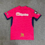 3db89250d1.jpg.640x640 | UAE SPORT STORE Back of a bright pink soccer jersey with blue side panels, featuring the Nipponham sponsor logo and a gold Singha emblem at the hem.