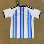 Back view of a white soccer jersey featuring bold vertical blue stripes, with black trim on the collar and sleeves and a tag attached at the neck edge.