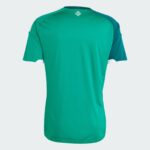 Back view of a green athletic jersey with teal sleeves and a small white emblem near the neckline on the upper back.