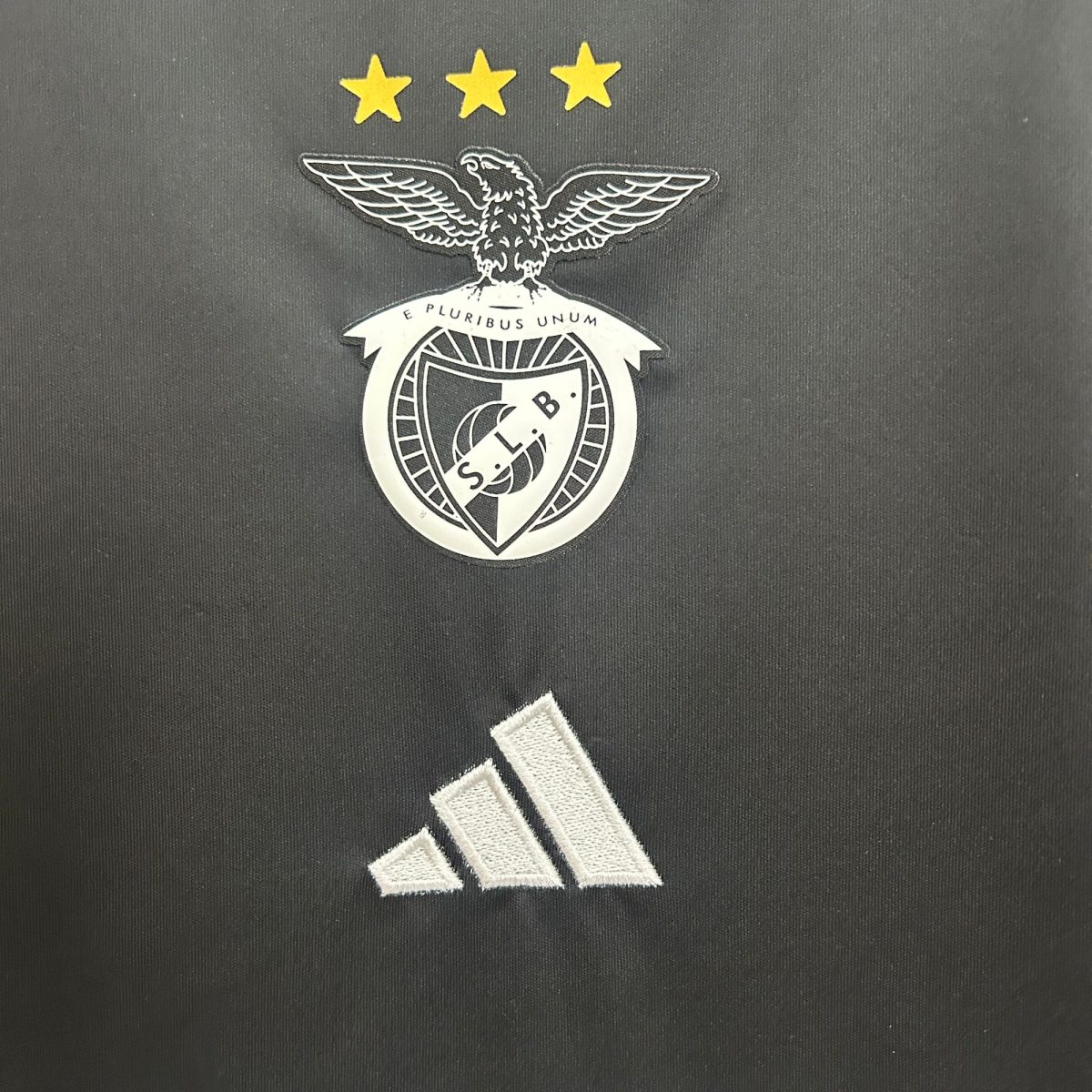 Silver eagle emblem with outstretched wings above a circular badge, three gold stars aligned on dark fabric behind it.