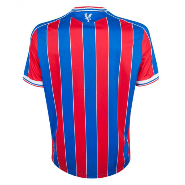 Back view of a blue and red vertical striped soccer jersey with white trim on the collar and sleeves.