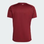 8f8a776f-86bc-4d2f-b5f5-b3a57dcd6dea | UAE SPORT STORE Back view of a maroon polo shirt with white collar trim and a small white Arabic inscription at the neckline.