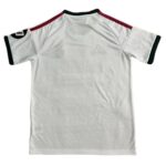 9e65cb45-e9e8-4e32-aa74-398d3b14ab80 | UAE SPORT STORE Back view of a plain white short-sleeve sports jersey with red shoulder stripes and dark cuffs on the sleeves.