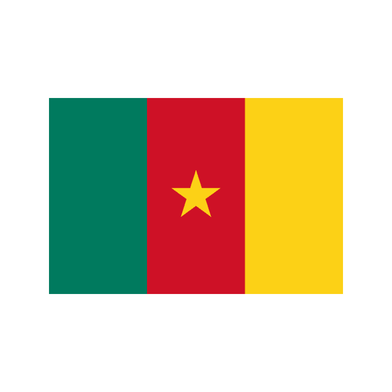 Flag of Cameroon: green left stripe, red middle stripe with a yellow star, and yellow right stripe.