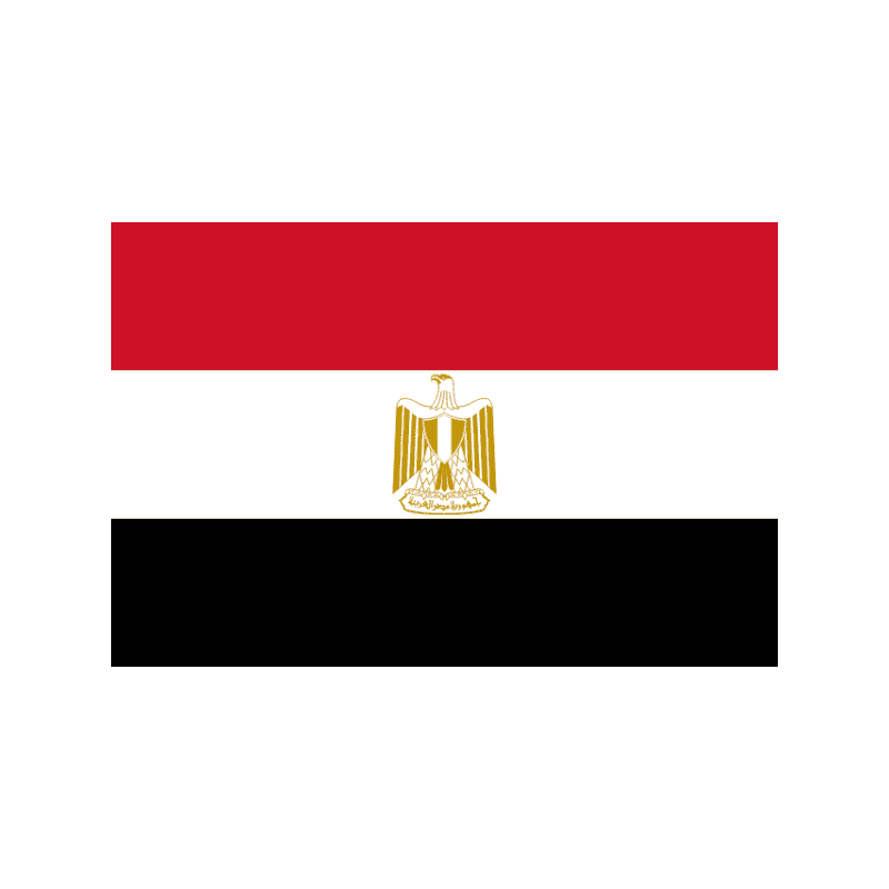 Egyptian flag: red top stripe, white middle stripe with the golden Eagle of Saladin, and black bottom stripe.