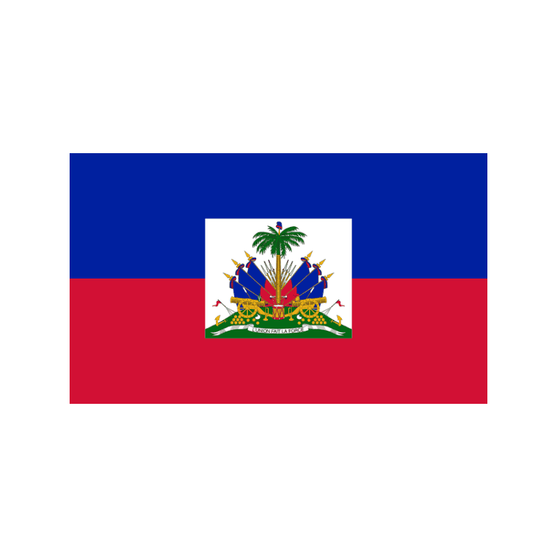 Flag of Haiti: blue upper half, red lower half with a central white square bearing the national coat of arms (palm tree, cannons, and banner)