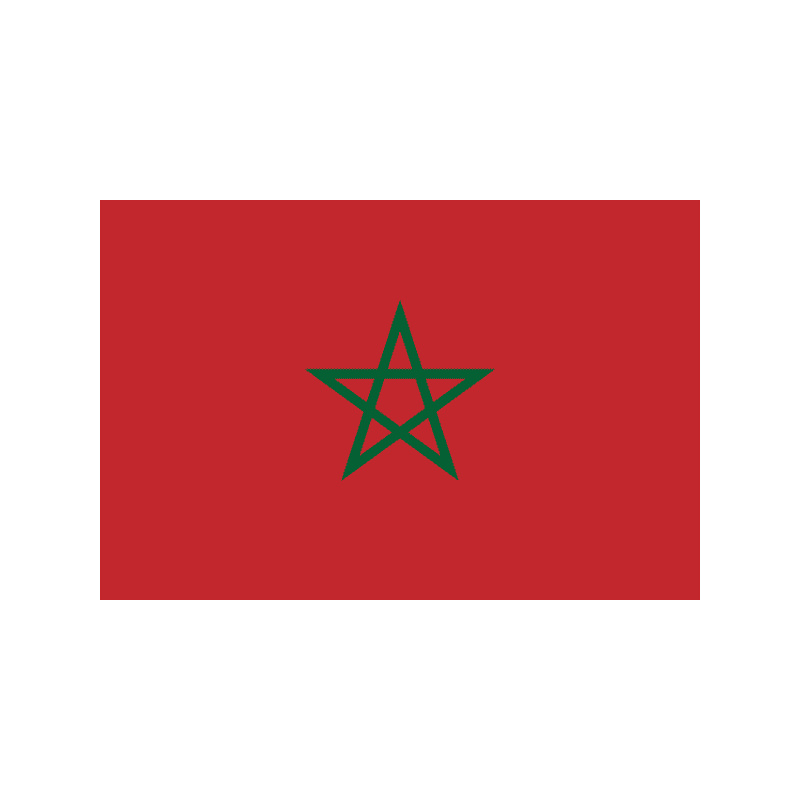Red flag with a green five-pointed star centered on the flag surface in front of a plain light background.