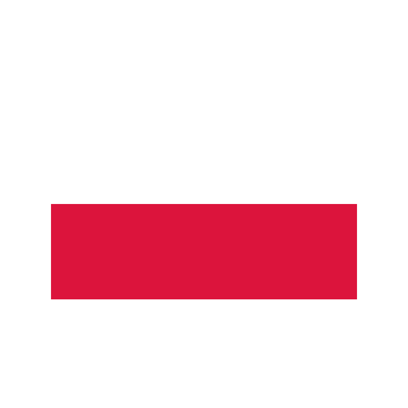 Solid red horizontal bar centered near the bottom on a white background, like a banner stripe