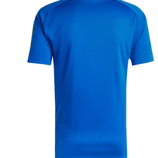 Blue short-sleeve sports jersey shown from the back, with a small logo at the neck area.