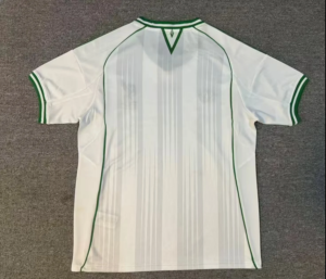 IMG-6039 | UAE SPORT STORE White soccer jersey viewed from the back with green trim and vertical pale stripes, short sleeves, and a green V-shaped neck trim on a gray background