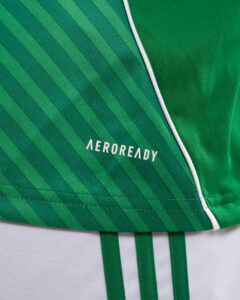 JJ2245_MOD_13 | UAE SPORT STORE Close-up of a green striped athletic jersey with white piping and the AEROREADY logo.